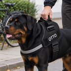 Hånd holder i håndtaget på selen på en stor hund